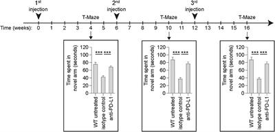 Commentary: Chronic PD-1 Checkpoint Blockade Does Not Affect Cognition or Promote Tau Clearance in a Tauopathy Mouse Model